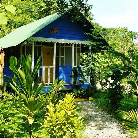 Hotel Casitas Mar Y Luz Puerto Viejo de Talamanca Eksteriør bilde