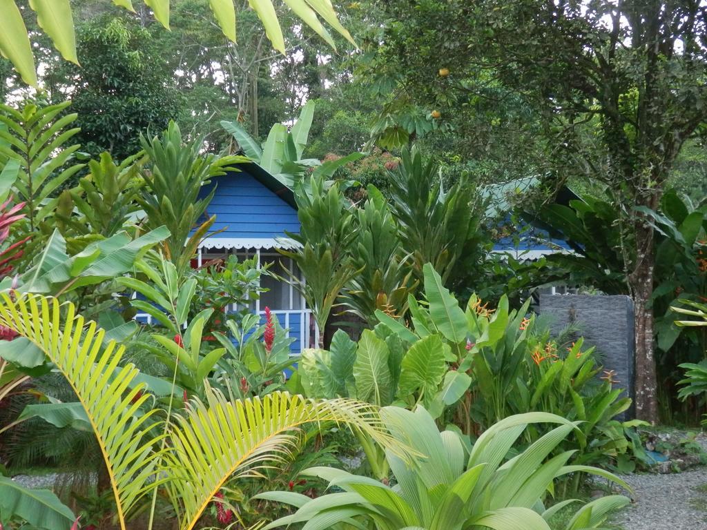 Hotel Casitas Mar Y Luz Puerto Viejo de Talamanca Eksteriør bilde