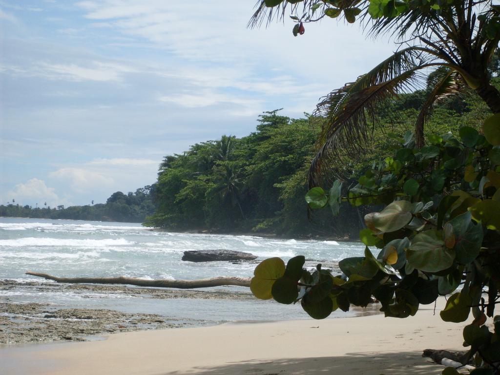 Hotel Casitas Mar Y Luz Puerto Viejo de Talamanca Eksteriør bilde