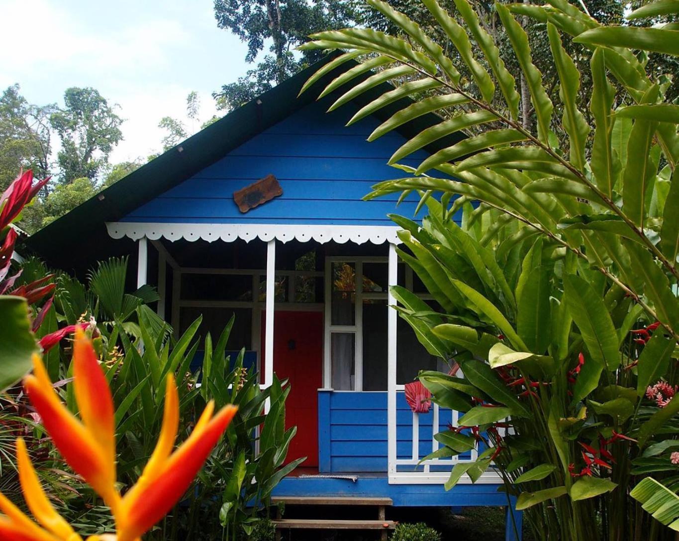 Hotel Casitas Mar Y Luz Puerto Viejo de Talamanca Eksteriør bilde