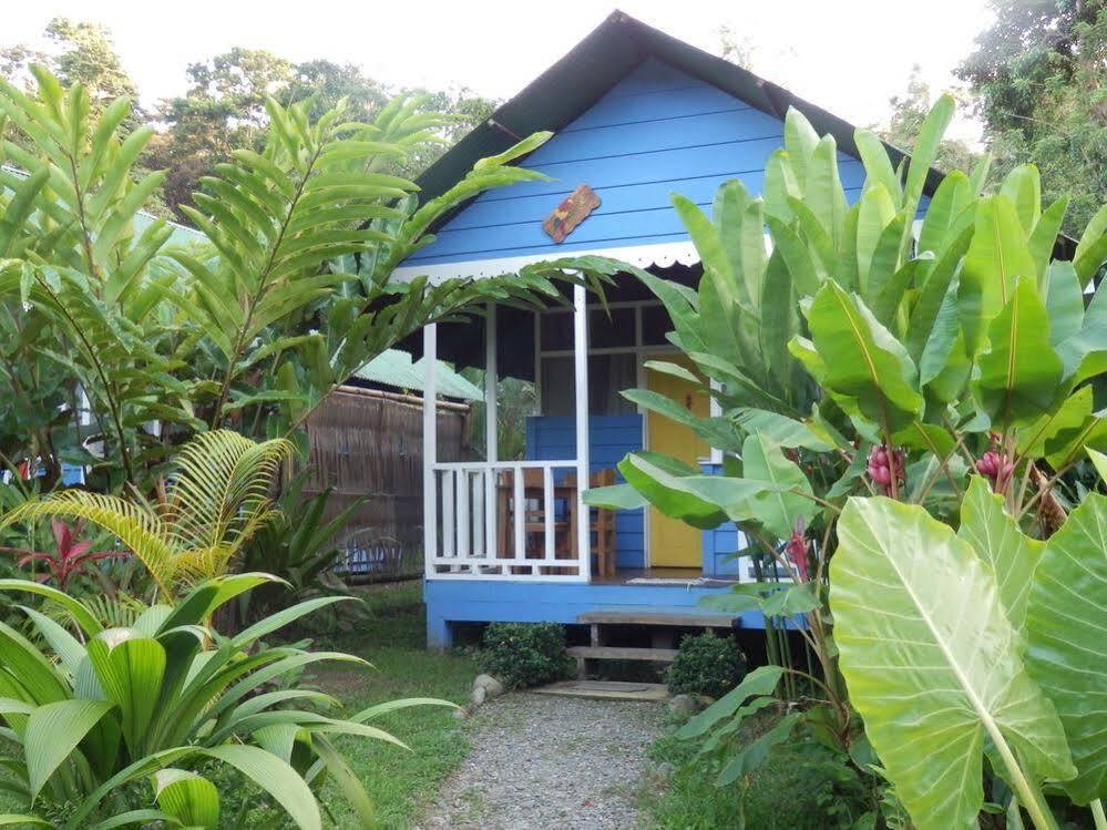 Hotel Casitas Mar Y Luz Puerto Viejo de Talamanca Eksteriør bilde